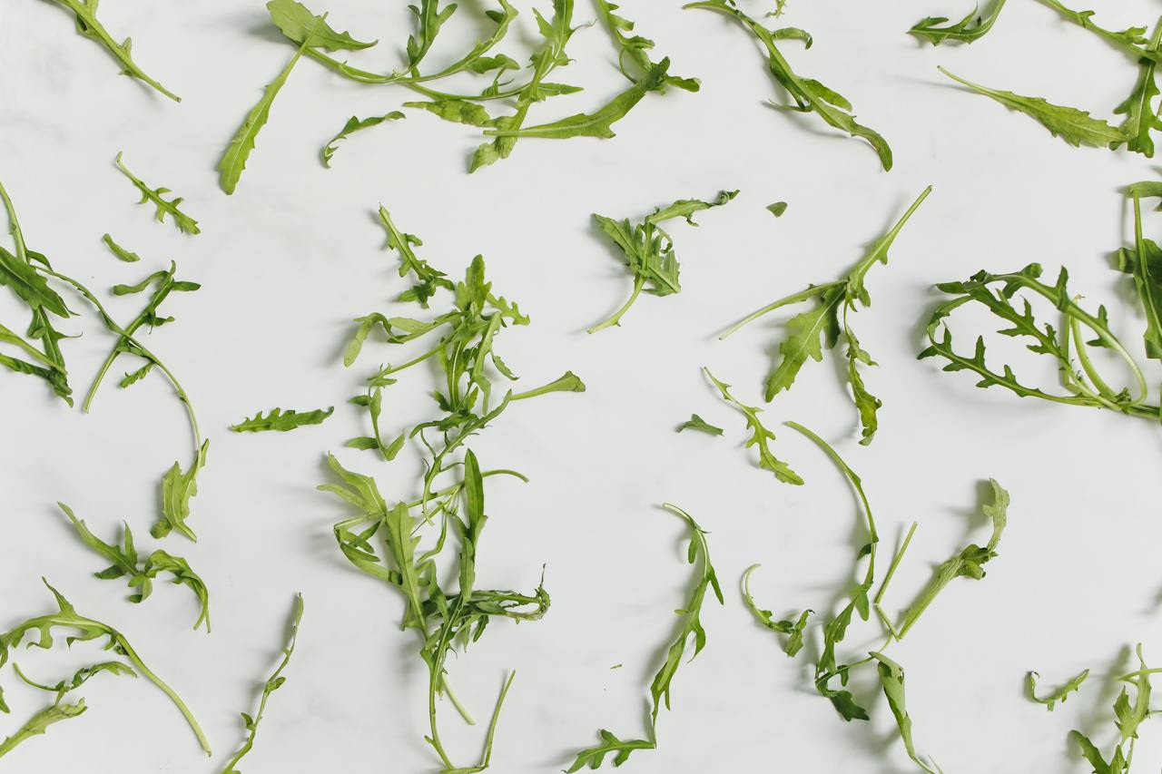 Auf dem Bild ist frischer, grüner Rucola zu sehen, der mit seinem würzigen Geschmack und den zarten Blättern eine Bereicherung für Salate und andere Gerichte darstellt